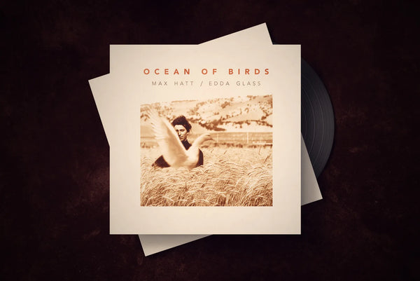 Ocean of Birds